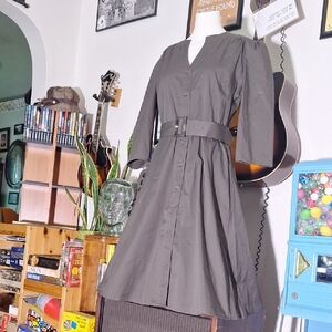 Elegant Gray Belted Dress